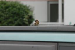 dsc_7791.jpg