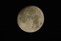 dsc_9318.jpg