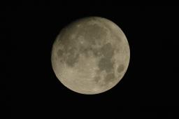 dsc_9319.jpg