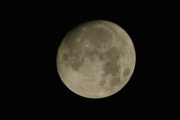 dsc_9325.jpg