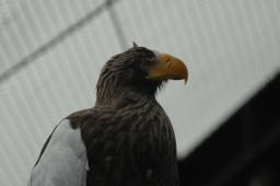 dsc_10128.jpg