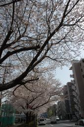 dsc_2910.jpg