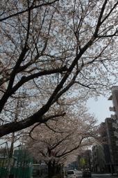 dsc_2912.jpg