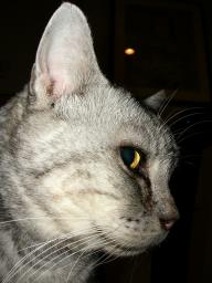 dscn9015.jpg