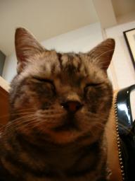 dscn9016.jpg