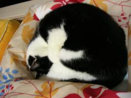 dscn9028.jpg