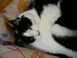dscn9029.jpg