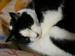 dscn9030.jpg