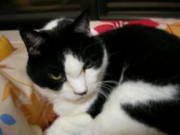 dscn9032.jpg