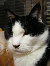 dscn9034.jpg