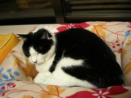 dscn9035.jpg