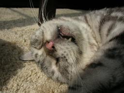 dscn9043.jpg