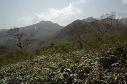dsc_3070.jpg