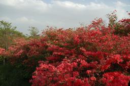 dsc_3097.jpg