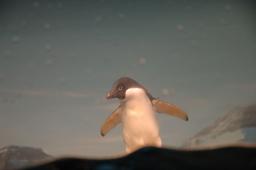 dsc_4241.jpg