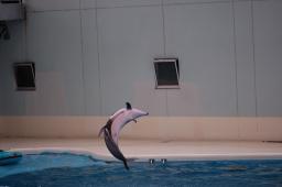 dsc_4267.jpg