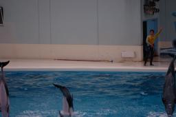 dsc_4271.jpg