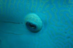 dsc_4280.jpg
