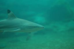 dsc_4289.jpg