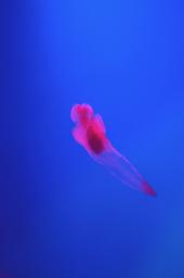 dsc_4326.jpg