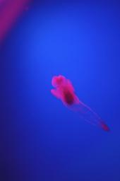 dsc_4327.jpg