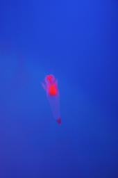 dsc_4328.jpg