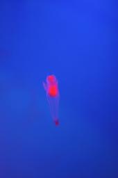 dsc_4329.jpg