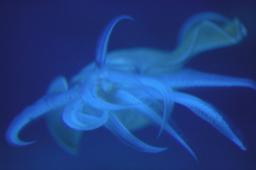 dsc_4341.jpg