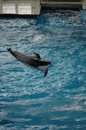dsc_4378.jpg
