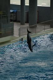 dsc_4379.jpg