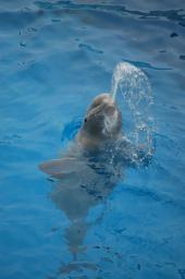 dsc_4395.jpg