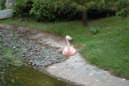 dsc_4396.jpg