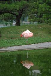 dsc_4399.jpg