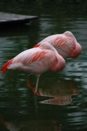 dsc_4400.jpg