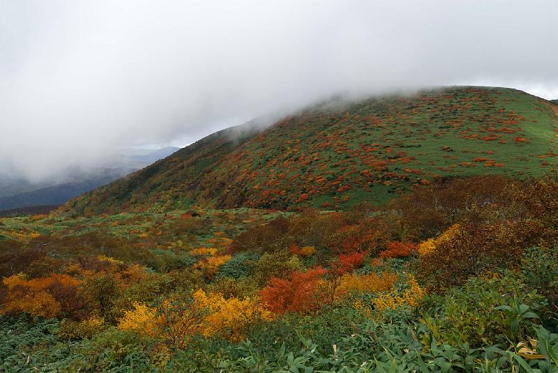 DSC_1999.jpg - 秋田駒ケ岳8合目登山口にて