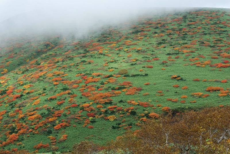 DSC_2001.jpg - 秋田駒ケ岳8合目登山口にて