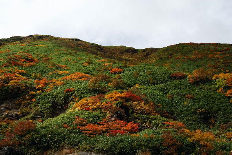 DSC_2011.jpg - 秋田駒ケ岳登山道片倉岳コースより