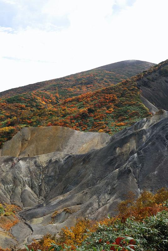DSC_2016.jpg - 秋田駒ケ岳登山道片倉岳コースより