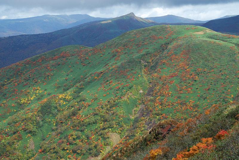 DSC_2020.jpg - 秋田駒ケ岳登山道片倉岳コースより