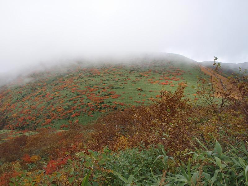 PA070327.JPG - 秋田駒ケ岳8合目登山口にて