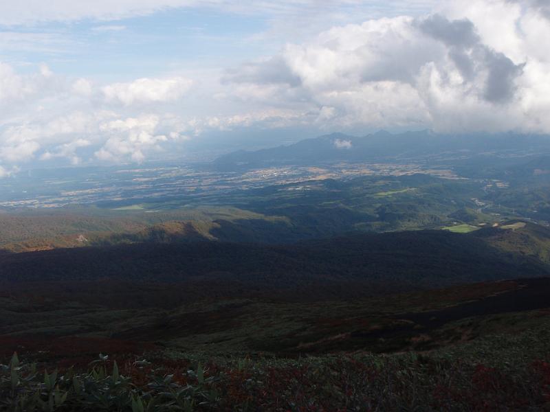 PA070345.JPG - 秋田駒ケ岳登山道しゃくなげコースより