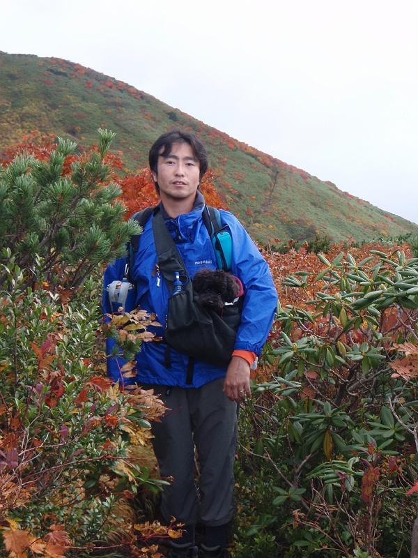 PA070349.JPG - 秋田駒ケ岳登山道しゃくなげコースにて
