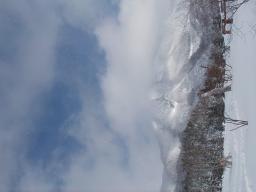 p1010018-org.jpg