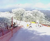 20060109095447.jpg