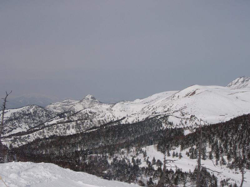 P2220875.JPG