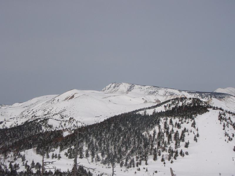 P2220876.JPG