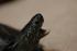 dsc_2792.jpg